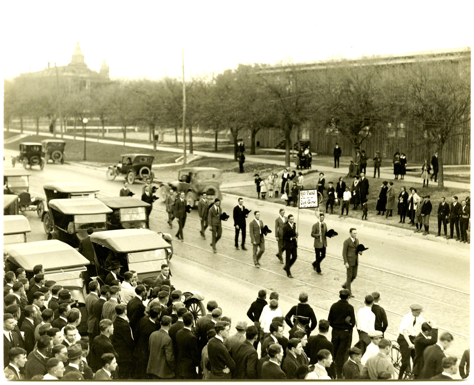 Pig funeral procession
